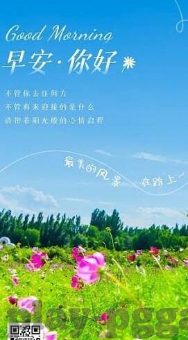 世界杯实时统计-世界杯实时统计，激情与数据的碰撞